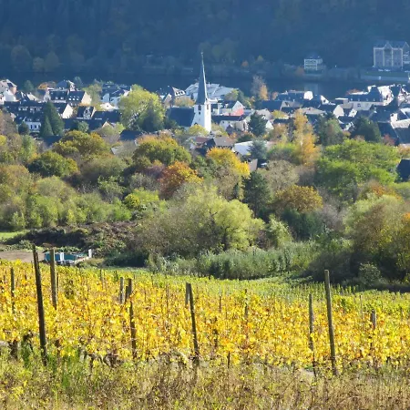 Haus Wildstein-2 By Interhome Appartement Traben-Trarbach